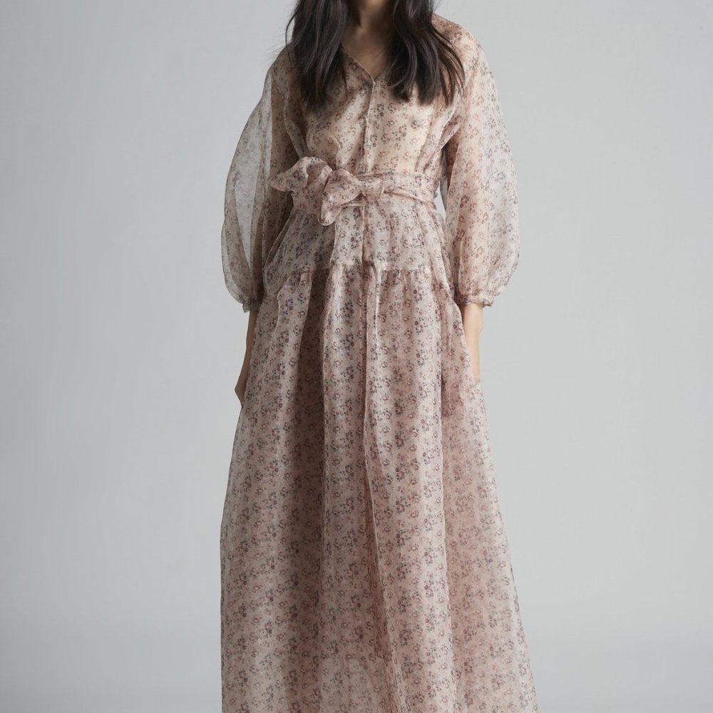 Christine Alcalay Teresa Silk Organza Sheer Light Maxi Dress Rose Floral XS/S